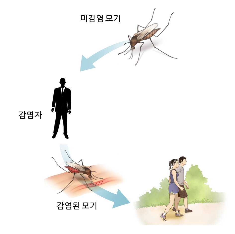 지카 바이러스 감염 경로